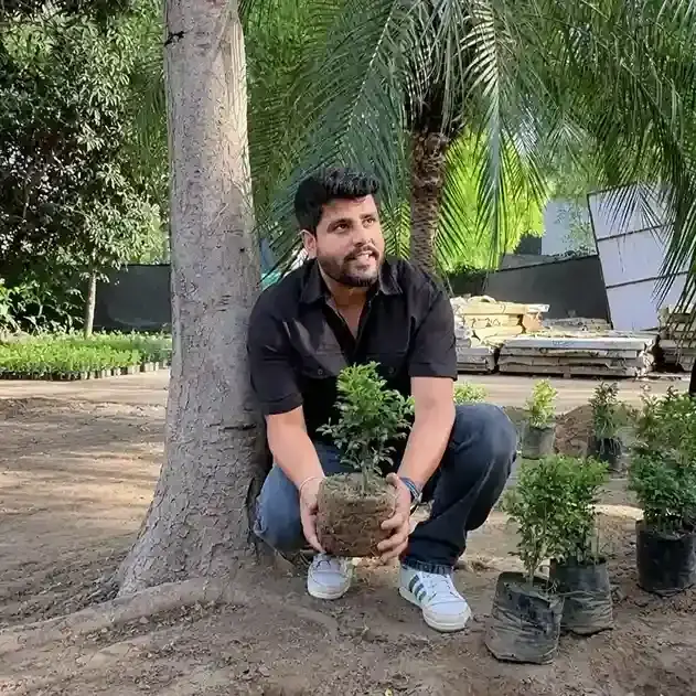 Hands holding soil with a fresh sprouting green leaf plant